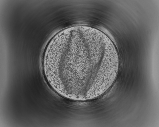 X0000094911243200712271506