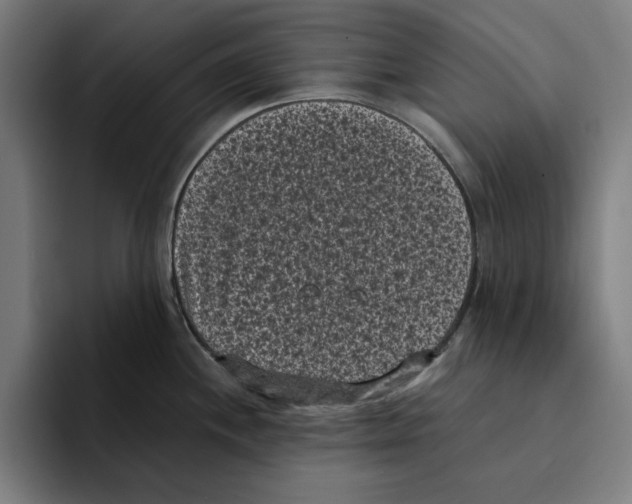 X0000094911244200712271506