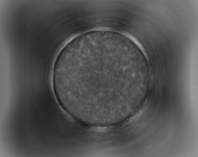 X0000094911245200712271506