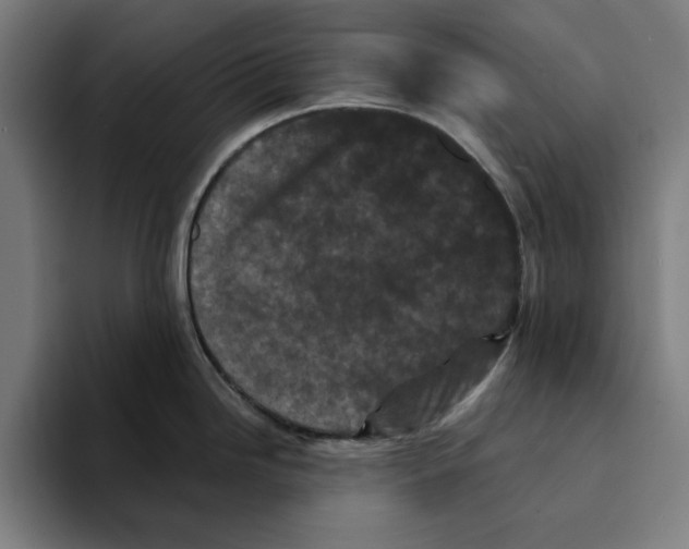 X0000094911246200712271506