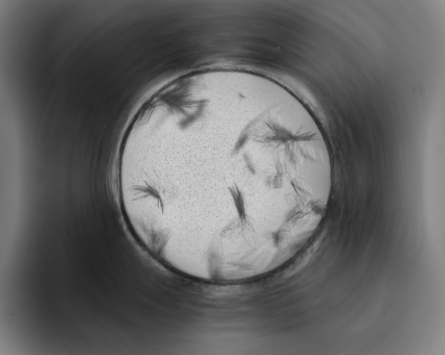 X0000094911247200712271506