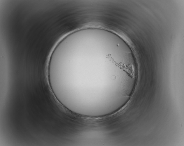 X0000094911248200712271506