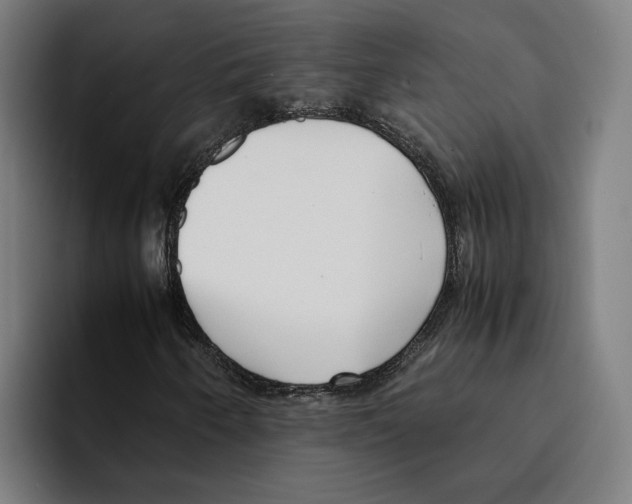 X0000094911250200712271505