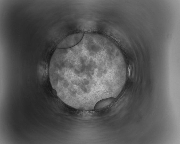 X0000094911251200712271505