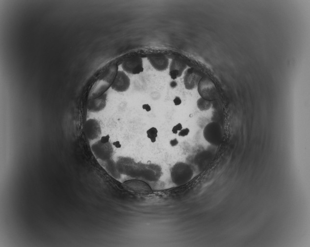 X0000094911255200712271505