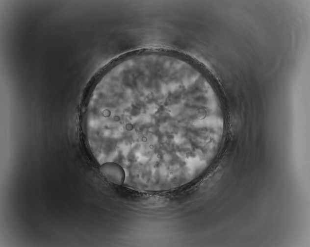 X0000094911263200712271505