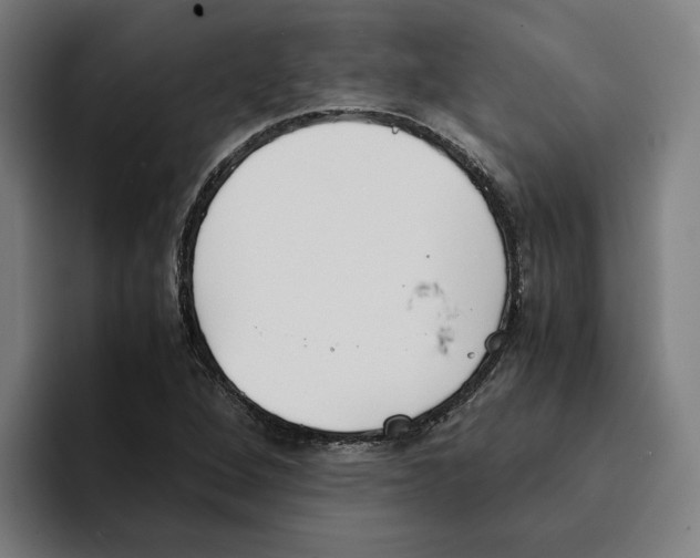 X0000094911264200712271505