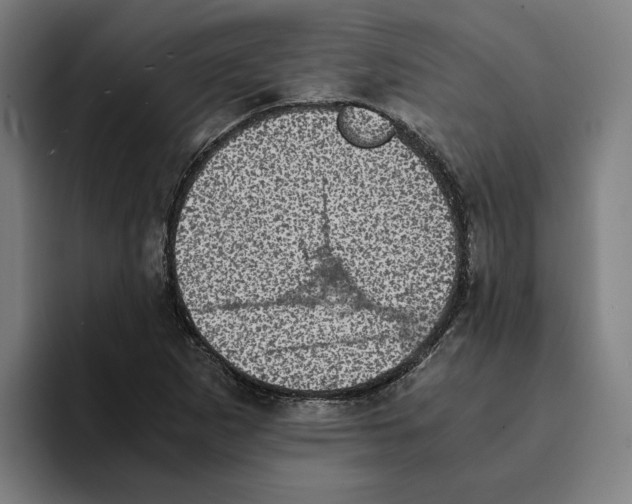 X0000094911265200712271505