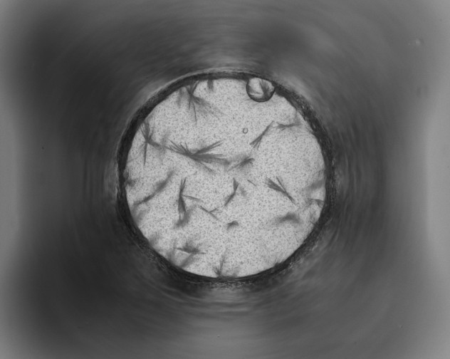 X0000094911267200712271505