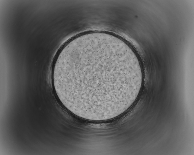 X0000094911272200712271505