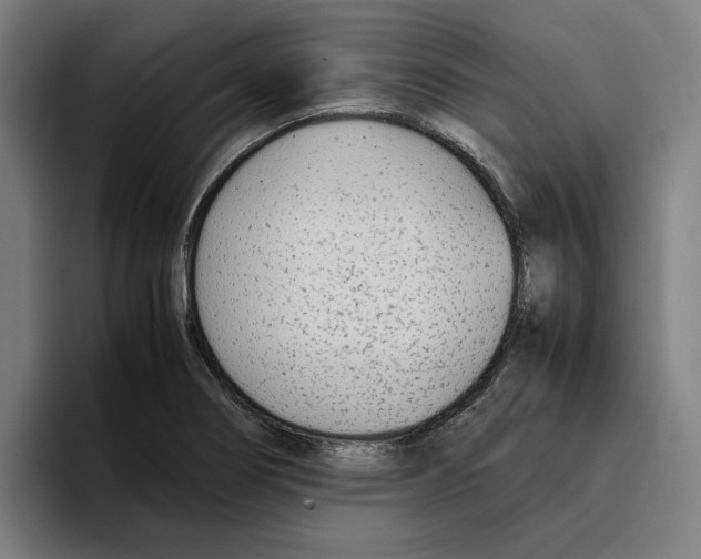 X0000094911274200712271505