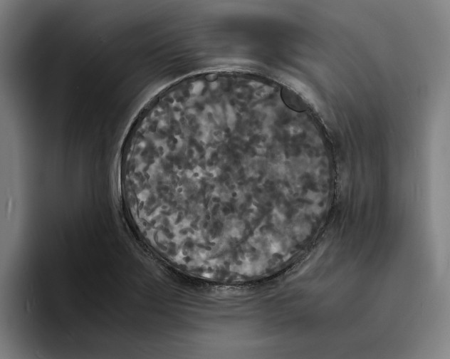 X0000094911275200712271505