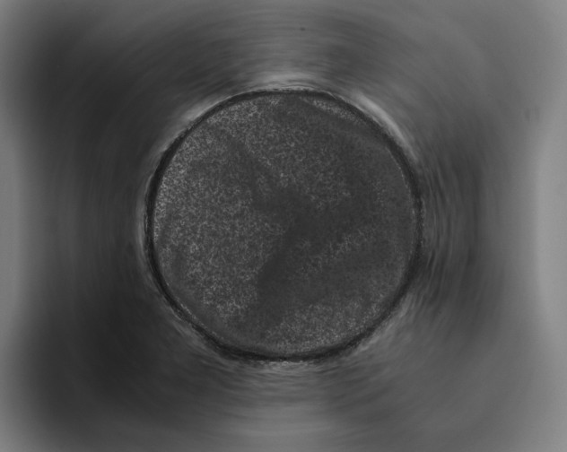 X0000094911277200712271505