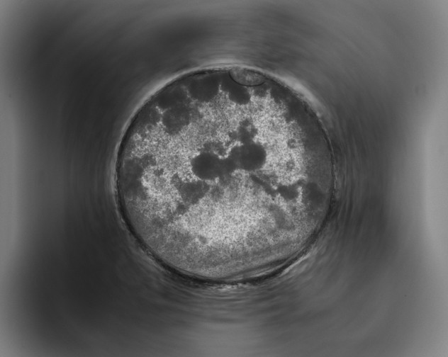 X0000094911279200712271505