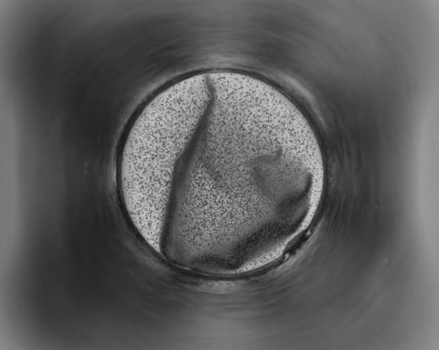 X0000094911280200712271505