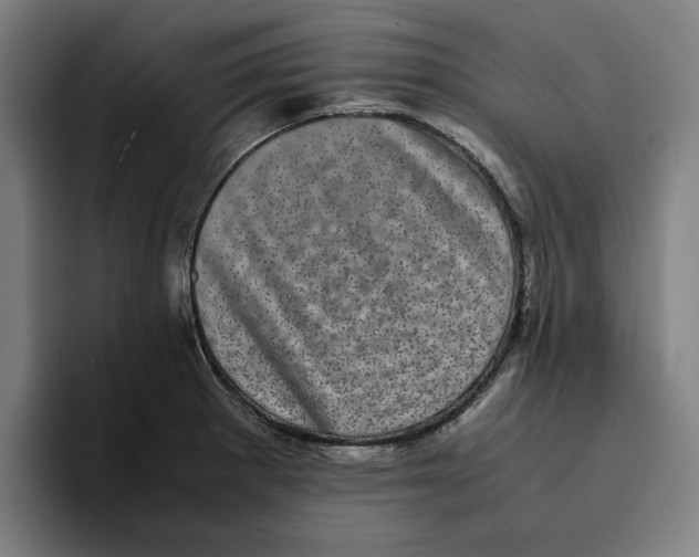 X0000094911281200712271505