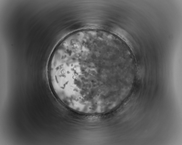 X0000094911283200712271505