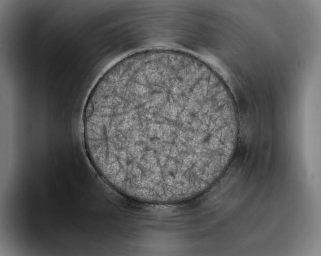 X0000094911287200712271505