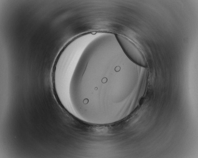 X0000094911291200712271505