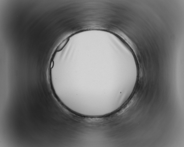 X0000094911293200712271505