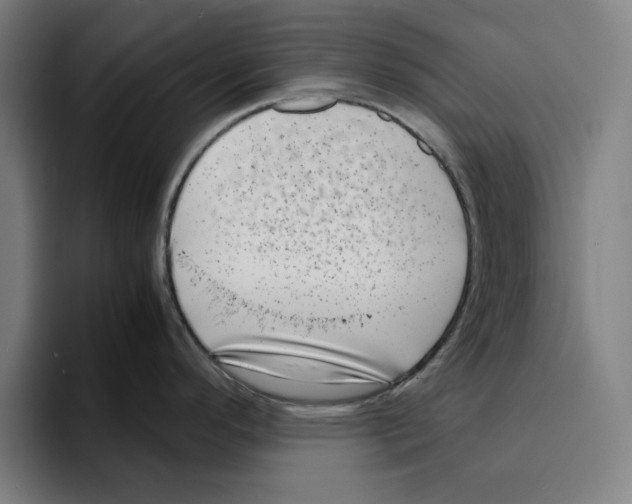 X0000094911296200712271505