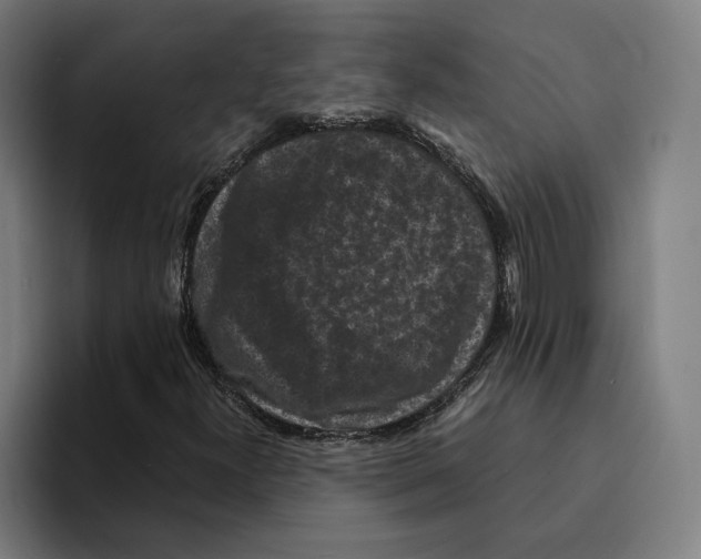 X0000094911300200712271504