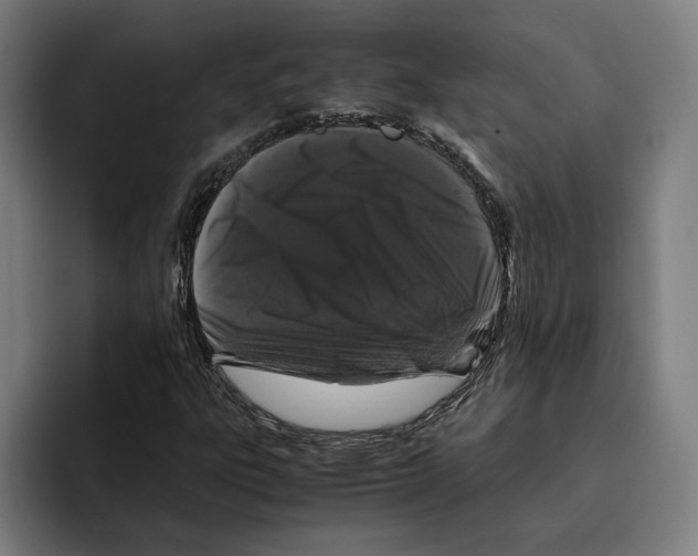 X0000094911303200712271504