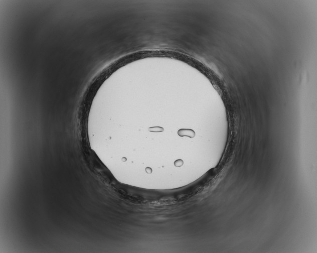 X0000094911311200712271504