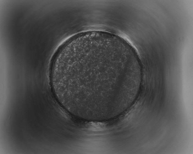 X0000094911312200712271504