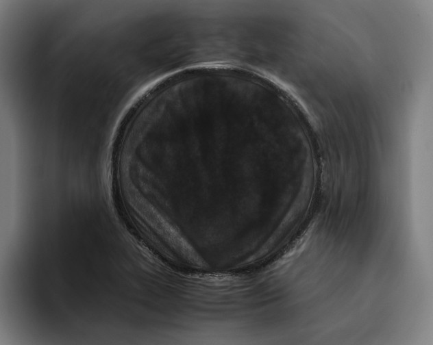 X0000094911319200712271504