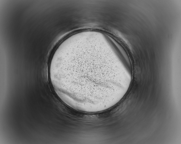 X0000094911320200712271504