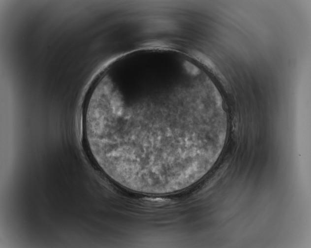 X0000094911323200712271504