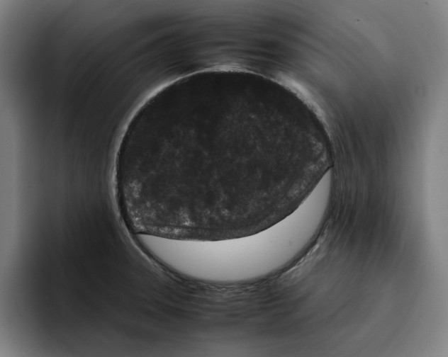 X0000094911331200712271504