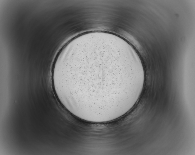 X0000094911332200712271505