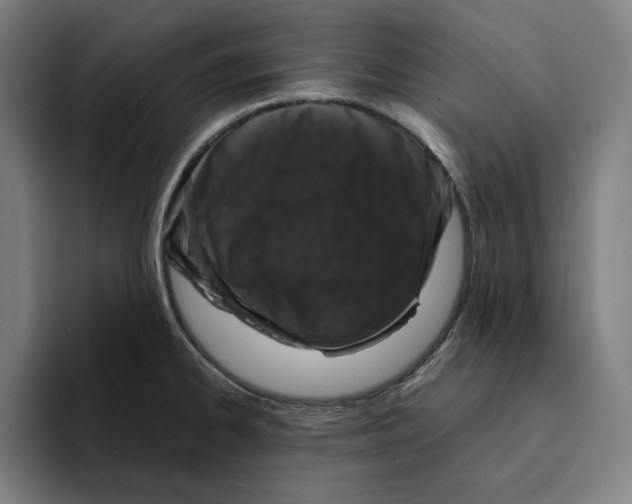 X0000094911334200712271505