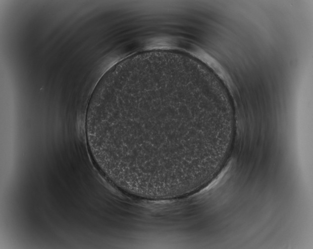 X0000094911337200712271505