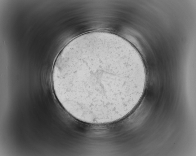 X0000094911338200712271505