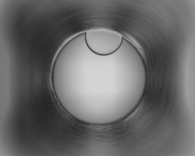 X0000094911340200712271505