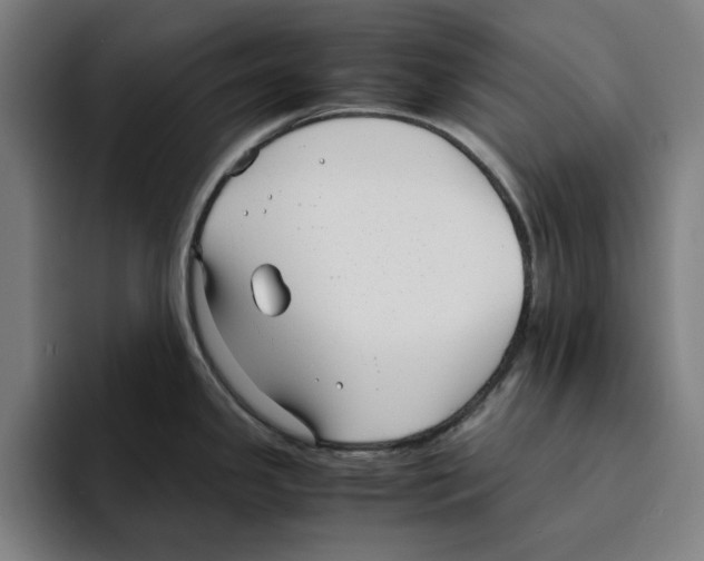 X0000094911341200712271505