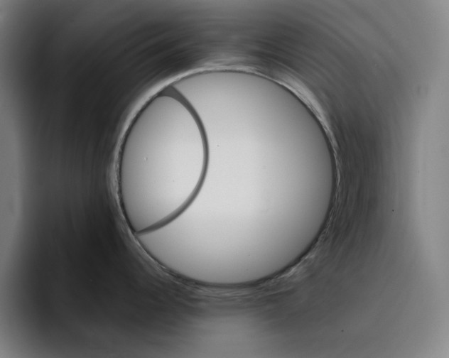 X0000094911344200712271505