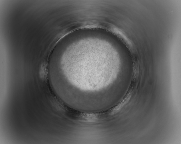 X0000094911361200712271504