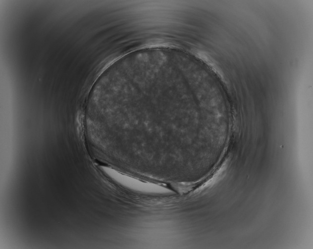 X0000094911369200712271504