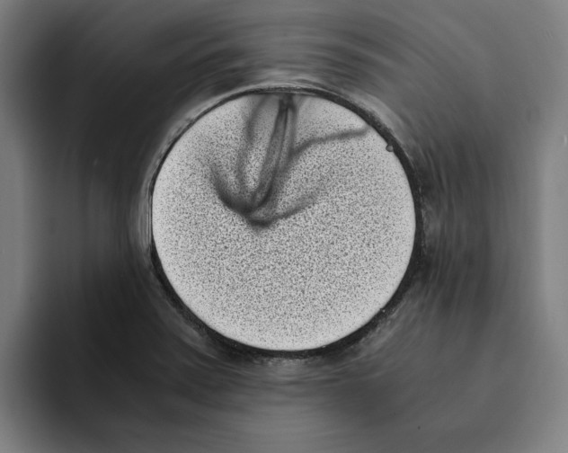 X0000094911371200712271504