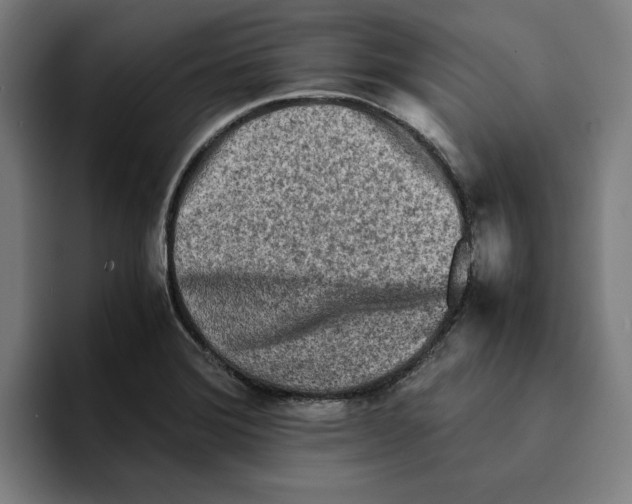 X0000094911372200712271504