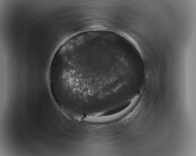 X0000094911373200712271504