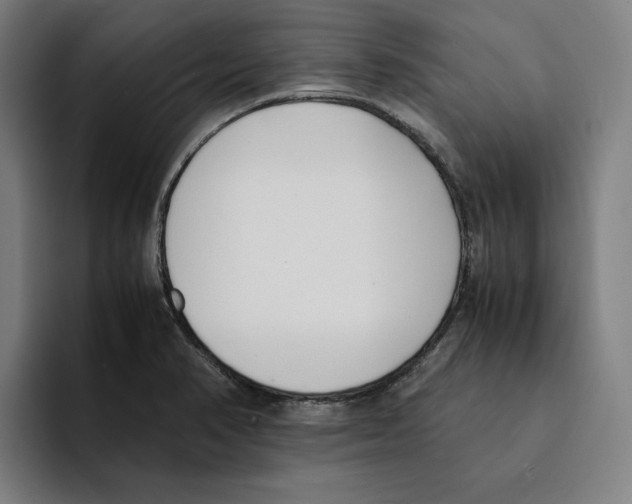 X0000094911374200712271504