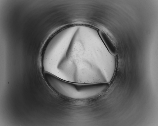 X0000094911376200712271504