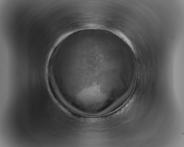 X0000094911381200712271504