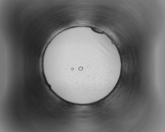 X0000094911382200712271504