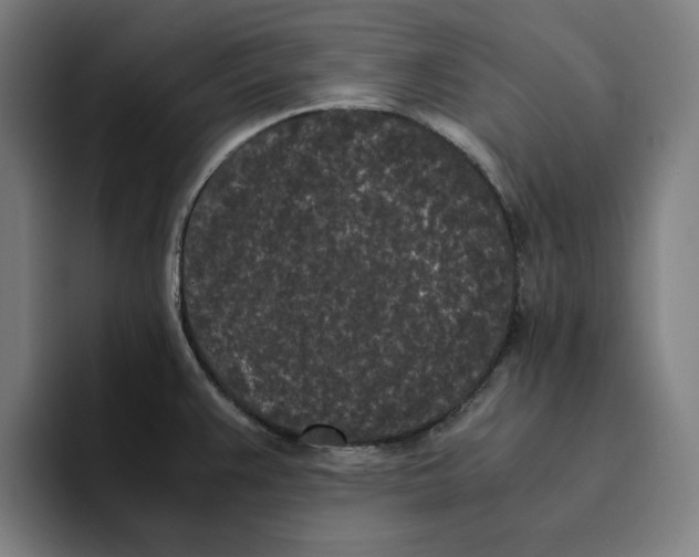 X0000094911383200712271504